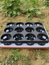 Orchid Seedling Tray with Drip Tray - 12/15 Hole Plant Holder for 3.5-inch Pots