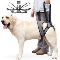 Dog Rear Leg Support Harness for Injured or Senior Dogs with Adjustable Waist