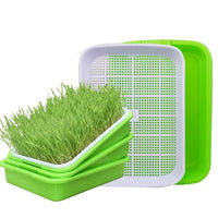 Hydroponic Seed Sprouter Tray Kit for Home Gardening, Bean Sprout Growing System