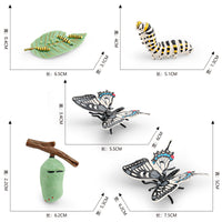 Butterfly Life Cycle Model Set - Educational Insect Growth Stages for Kids