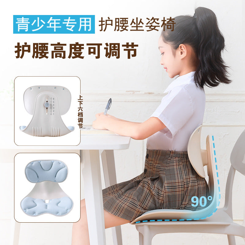 Ergonomic Lumbar Support Cushion for Office Chairs and Students
