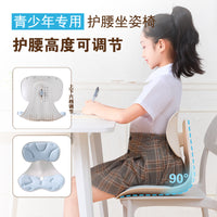 Ergonomic Lumbar Support Cushion for Office Chairs and Students
