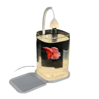 Desktop Mini Aquarium with LED Light for Betta Fish and Small Ornamentals