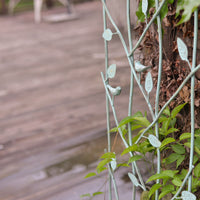 Wrought Iron Climbing Plant Trellis for Garden Decoration
