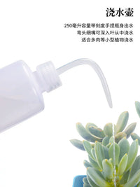 Succulent Plant Gardening Tool Set with Transplanting Mat