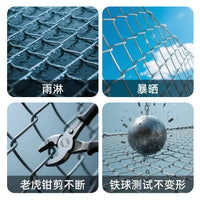 Hot-Dip Galvanized Steel Wire Mesh Fence for Garden and Poultry Enclosures