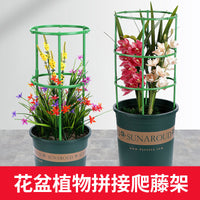 Adjustable Plant Support Stakes for Climbing Plants and Orchids, Modular Garden Trellis Kit