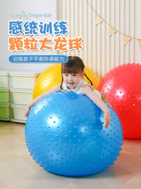 Sensory Integration Training Ball for Kids, 75cm Textured Yoga Ball for Early Education, Balance & Tactile Development
