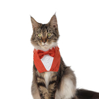 TANPOPO Pet Bandana Scarf with Hook and Loop Closure for Dogs and Cats