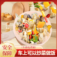 Portable 12V/24V Car Electric Cooking Pot Non-stick Mini Multi-functional Travel Cooker for Steaming Frying Stir-frying