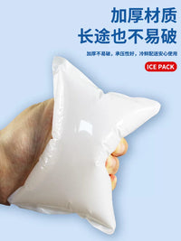 Self-Absorbing Ice Pack for Express Delivery, Frozen Food Preservation, Cold Storage, Takeaway, Summer Commercial Use, Blank Unprinted Ice Grid