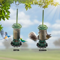 Squirrel-Proof Metal Bird Feeder with Automatic Dispenser for Outdoor Hanging