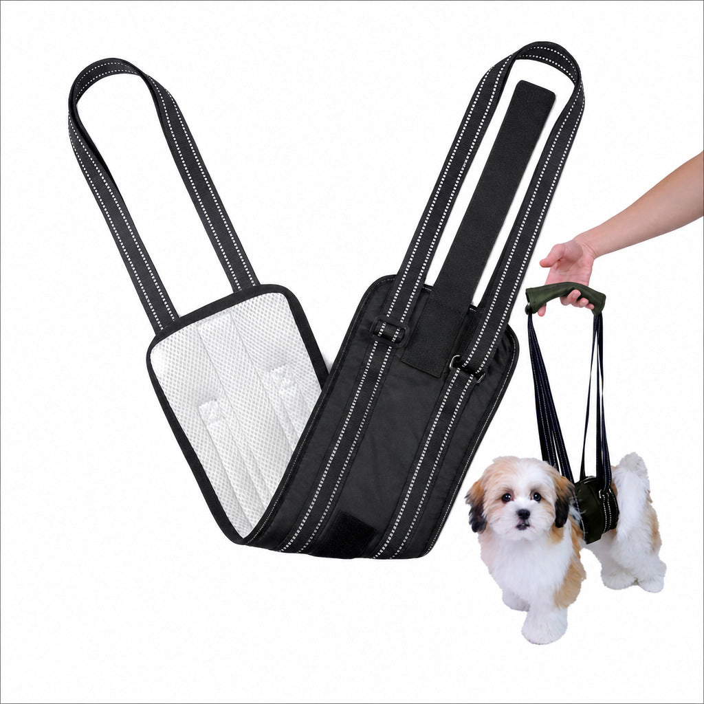 Pet Dog Rear Leg Support Harness for Injury Recovery & Mobility Assistance