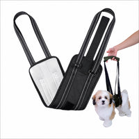 Pet Dog Rear Leg Support Harness for Injury Recovery & Mobility Assistance