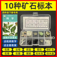 Elementary School Mineral Rock Specimen Kit for Science Education