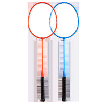Alloy Badminton Racket Set for Kids, Durable Beginner Training Kit