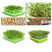 Hydroponic Seed Sprouting Tray Kit with Mesh Grids and Planting Pots for Home Use
