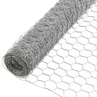 Galvanized PVC Coated Hexagonal Wire Mesh for Garden Fencing and Craft Projects