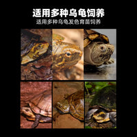 Turtle Incubation and Rearing Box with Sediment Plate and Lid for Hatching and Isolation