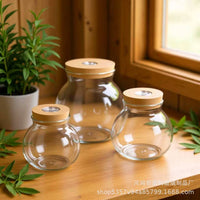 Borosilicate Glass Desktop Ecosystem Bottle with LED Light Hydroponic Vase Micro Landscape Fish Tank