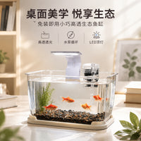 Mini Desktop Stream Aquarium with Integrated Filtration and Oxygenation