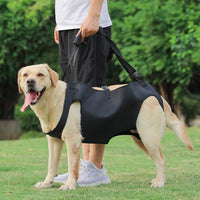 Dog Mobility Harness for Injured, Disabled, or Elderly Dogs