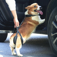 Dog Rear Leg Support Harness for Injured or Disabled Pets