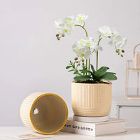 Ceramic Orchid Planter Pot with Tray for Indoor Desktop Plants