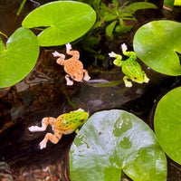 Realistic Frog Resin Ornament for Garden & Aquarium Decor