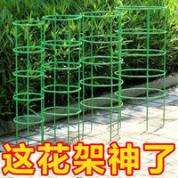 Garden Trellis for Climbing Plants, Rose Support, Potted Plant Stand