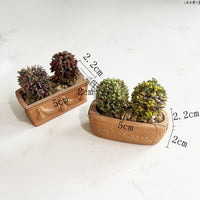 Mini Terracotta Succulent Planters - Breathable Clay Pots for Small Plants & Garden Decor