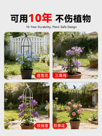 Climbing Plant Trellis for Potted Plants, Metal Garden Support for Roses and Clematis
