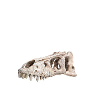 Aquarium Resin Skull Ornament for Fish Tank and Reptile Hideout