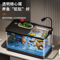 Aquarium Fish Tank with Integrated Filter and Oxygenator for Home Desktop