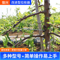 Fruit Tree Branch Spreader and Bender for Shaping and Fixing