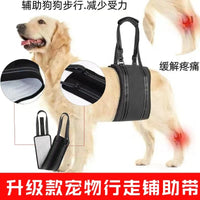 Pet Dog Mobility Harness for Injured or Disabled Rear Legs, Breathable Mesh Support Sling