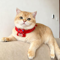 Pet Bandana Bib for Cats and Dogs, New Year Festive Collar Scarf