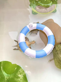 Miniature Inflatable Turtle Swimming Ring Aquarium Decoration Toy