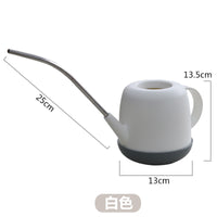 Stainless Steel Long Spout Watering Can for Indoor Plants & Garden