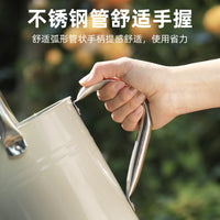 Large Capacity Iron Watering Can for Garden and Home Use