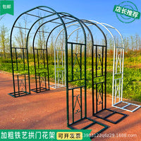 Garden Arch Trellis for Climbing Plants, Roses, and Vines - Outdoor Decorative Archway Support