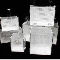 Acrylic Fish Tank Breeding Isolation Box with Lid for Shrimp and Small Fish
