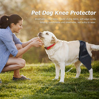 Dog Leg Brace for Injury Recovery and Joint Protection, Anti-Lick Post-Surgery Wrap