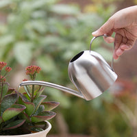 Stainless Steel Long Spout Watering Can for Indoor & Outdoor Plants, 1L Capacity