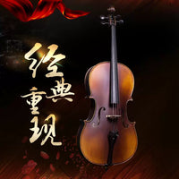 Professional Handcrafted Solid Wood Cello with Natural Flame Maple Finish for Students and Adults