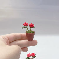 Mini Rose Potted Plant Model