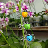 Ladybug Orchid Clips Plant Support Clips for Vines and Climbing Plants