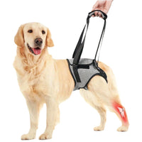Pet Dog Rear Leg Support Harness for Hip Dysplasia and Injury Recovery