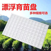 High-Density Foam Seedling Trays for Tobacco, Pepper, Watermelon, Corn - 162 Cells