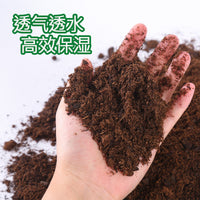 NC Reptile Forest Substrate for Terrariums, Lizards, Tortoises, Hedgehogs, and Geckos